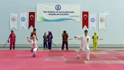 'Wushu kung fu, Orta Asya’dan bize kalan bir mirastır' - BARTIN