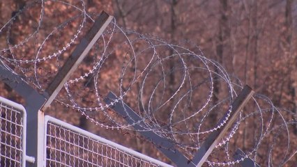 EU-Grenzschutzagentur Frontex sieht keine Migrationskrise in der EU