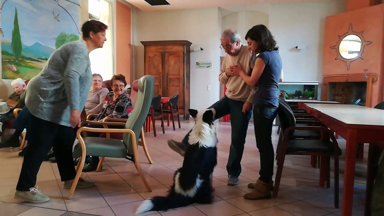 Cavaillon : un chien rend visite aux malades d’Alzheimer