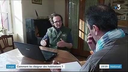 Limousin : le retour du loup inquiète les éleveurs