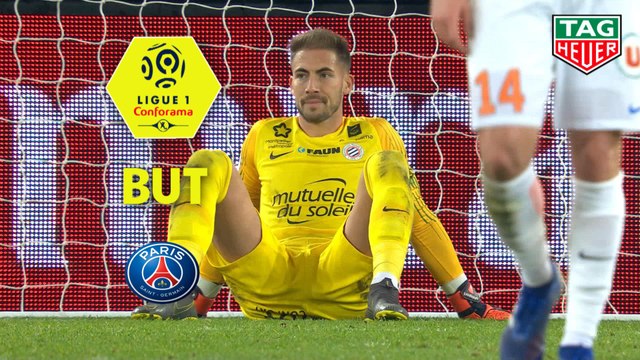 But Petar SKULETIC (73ème csc) / Paris Saint-Germain - Montpellier Hérault SC - (5-1) - (PARIS-MHSC) / 2018-19