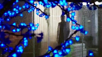 Erdal Bağcı - Gamsız