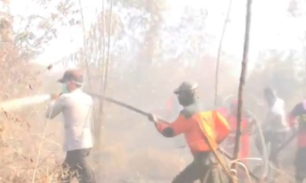 Kebakaran Hutan & Lahan di Kecamatan Rupat Diperkirakan Capai 1.000 Hektare