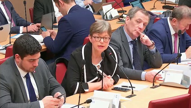 Commission des affaires économiques : Mme Agnès Pannier-Runacher, ministre sur la reconquête industrielle : industrie et innovation, attractivité et territoires - Mercredi 20 février 2019