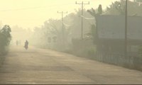 Kebakaran Lahan di Riau, Kabut Asap Mulai Melanda Permukiman