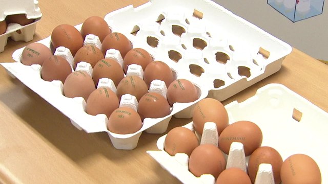 모레부터 달걀 산란일자 표시...구매 정보 제공 / YTN