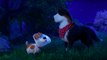 The Secret Life Of Pets 2 - Meet Harrison Ford as The Rooster - Comme des Bêtes 2