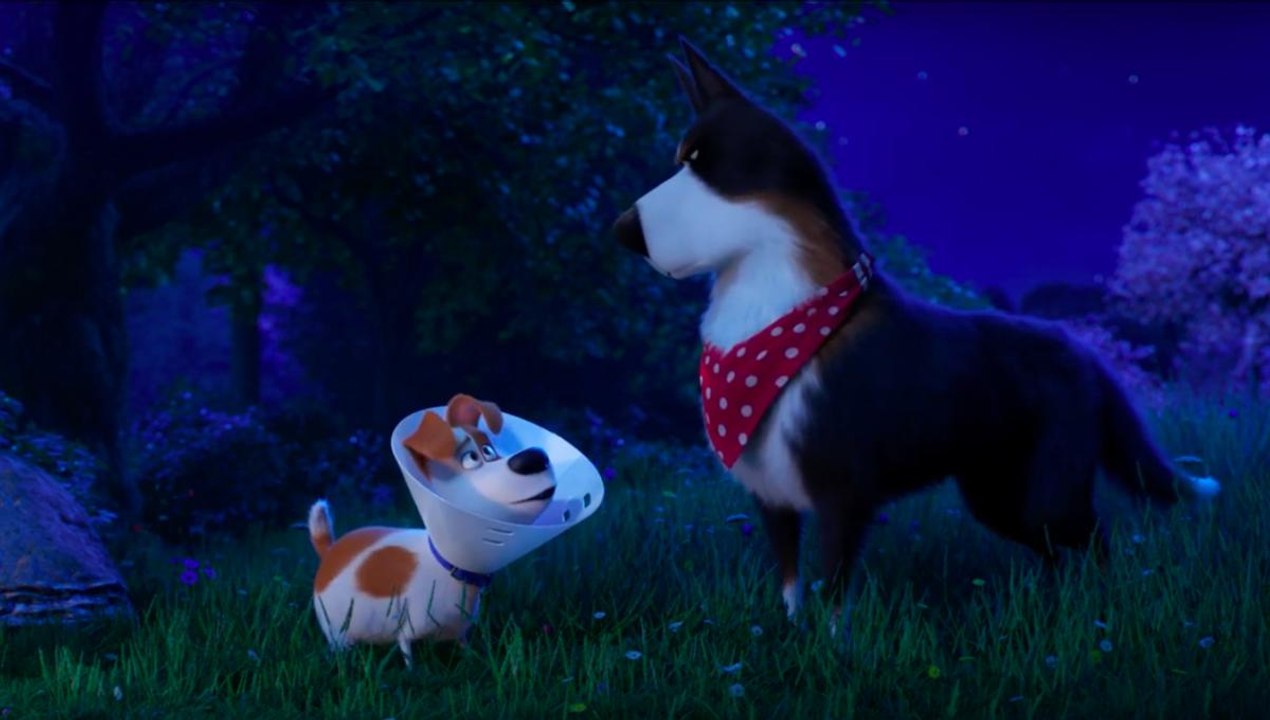 The Secret Life Of Pets 2 - Meet Harrison Ford as The Rooster - Comme des Bêtes 2