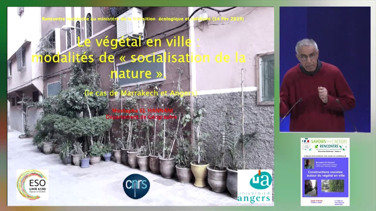 Constructions sociales autour du végétal en ville