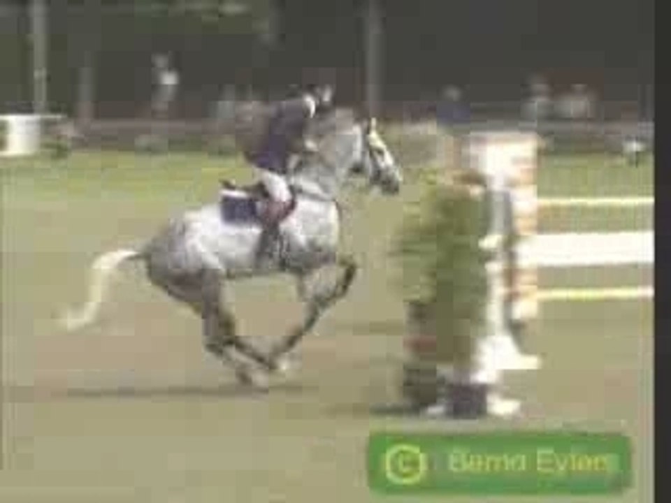 Le Cheval de Sport...