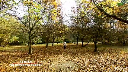 Haroon Bacha - Borjal (Official) - Gulrang