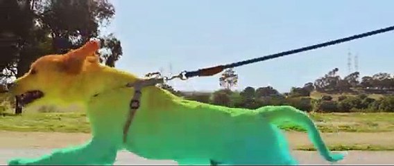 서울출장샵[Ø1Ø↔27Ø3↔7745]『카톡↔VVV75』【만족도1위!】서울콜걸 서울출장안마 서울안마코스 서울출장마사지-황제 서울출장샵=서울콜걸