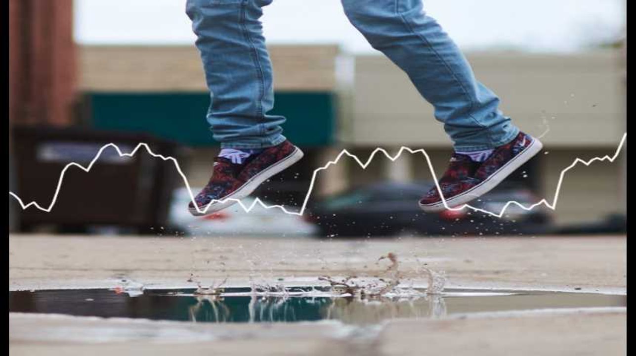 Minute Papillon! Flash info soir - 20 février 2019