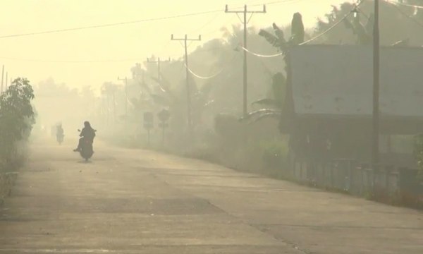 Kebakaran Lahan, Kabut Asap Melanda Permukiman di Riau