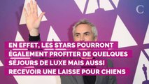 Oscars 2019 : ces cadeaux à base de cannabis que les nommés vont recevoir