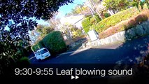 EDR February #20 2019 Noise Campaign  Leaf Blowing and Helicopters