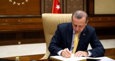 Erdoğan İmzayı Attı! Kastamonu'da 300 Milyon Liralık Yatırımla 5 Bin Kişi İstihdam Edilecek
