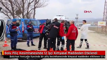 Bolu Piliç Kesimhanesinde 12 İşçi Kimyasal Maddeden Etkilendi
