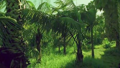 단원출장안마 {Ø1Øx2703x7745}【카톡VVV75】단원출장샵'예약'단원출장마사지 단원여대생출장 단원여고생출장 단원콜걸샵