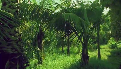 상록출장안마 {Ø1Øx2703x7745}【카톡VVV75】상록출장샵'예약'상록출장마사지 상록여대생출장 상록여고생출장 상록콜걸샵