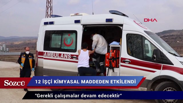 İşçiler kimyasal maddeden zehirlendi, peki ya tavuklar