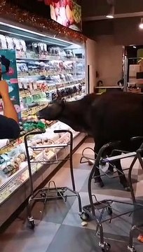 Pendant ce temps, voilà ce qu'il ce passe à Hong Kong.