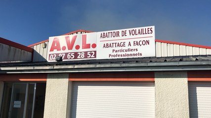 Incendie dans l'entreprise de volailles AVL
