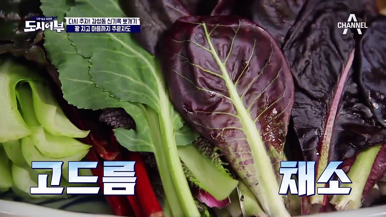 규든램지의 쁘띠 감성돔 샤부샤부♡ (feat. 꽃보다 낚시 오빠 F4)