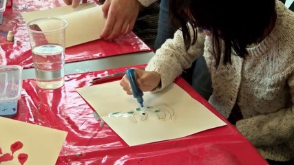 Discovering Molluscs!