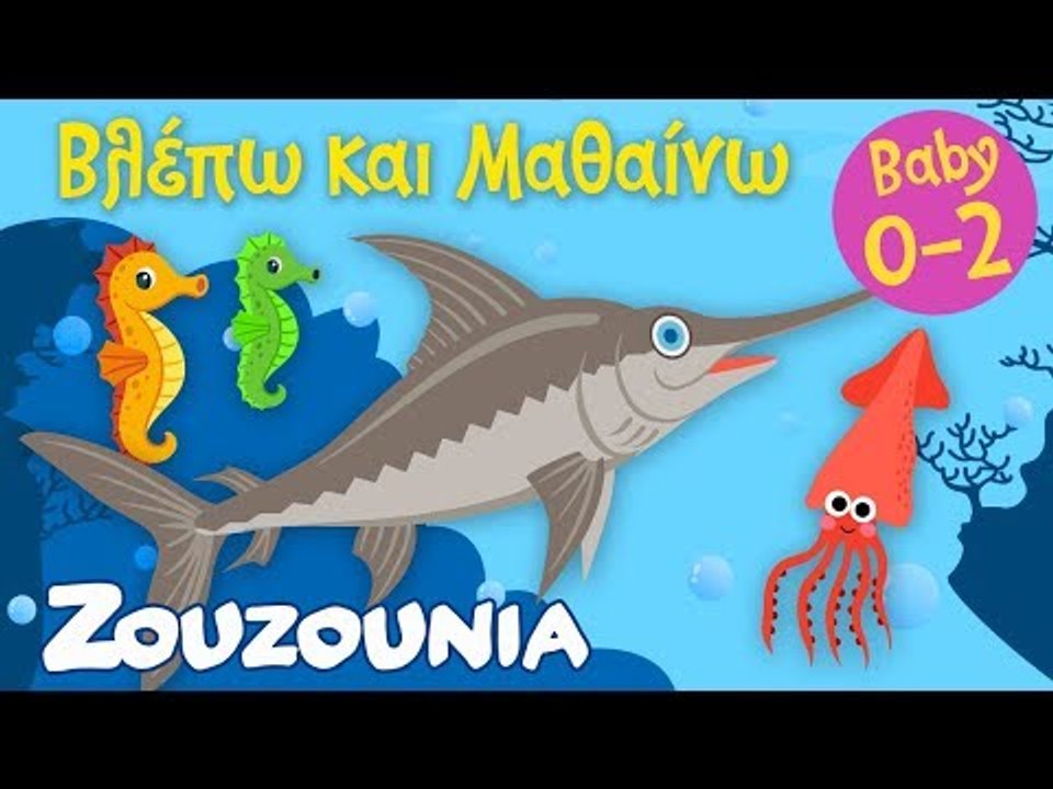Βλέπω και Μαθαίνω #6 | Τα ζωάκια της Θάλασσας Mέρος Γ'  Εκπαιδευτικό