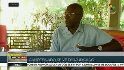 Neoliberalismo ha sumido al campo haitiano en una profunda crisis
