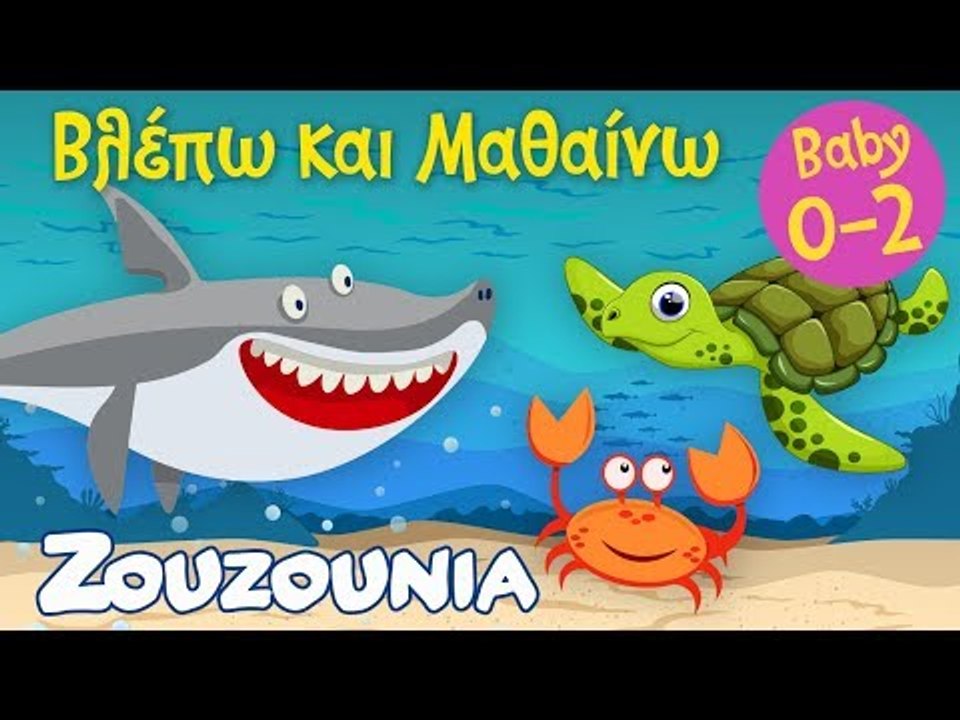 Βλέπω και Μαθαίνω #5 | Τα ζωάκια της Θάλασσας Mέρος Β' | Εκπαιδευτικό