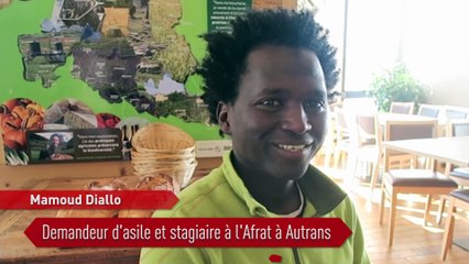 Mamoud Diallo, héros ordinaire et demandeur d’asile