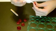 Fun craft and DIY projects
