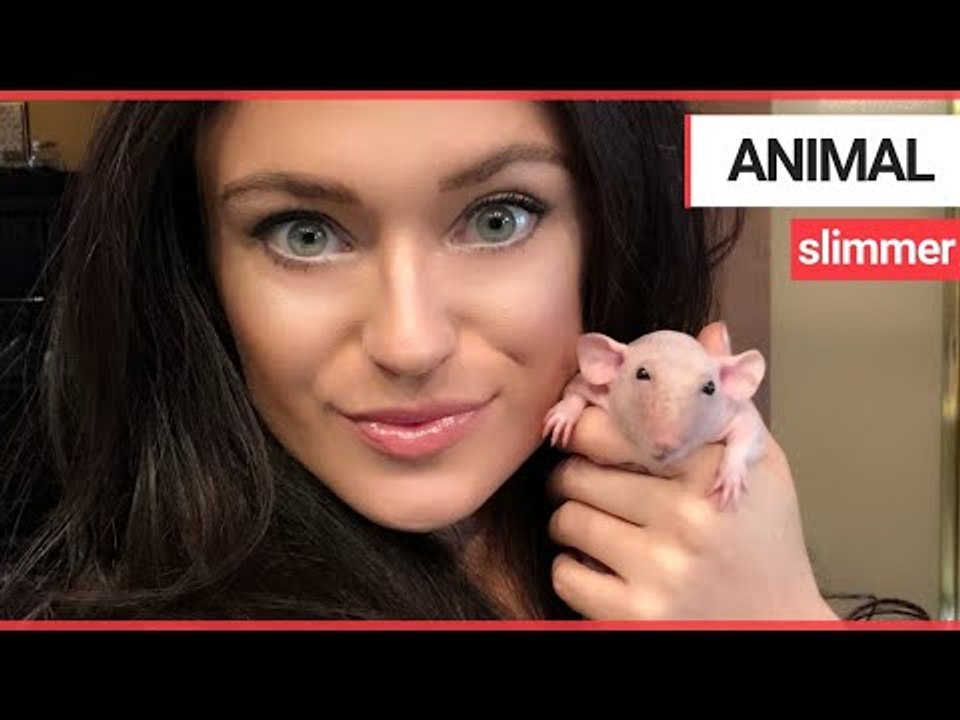 An animal lover shares her home with 90 pets | SWNS TV