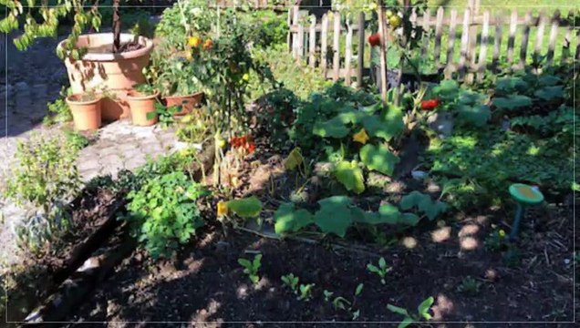 A vendre - Appartement - Collex (1239) - 120m²