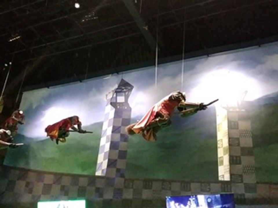 6 - MUR QUIDDITCH