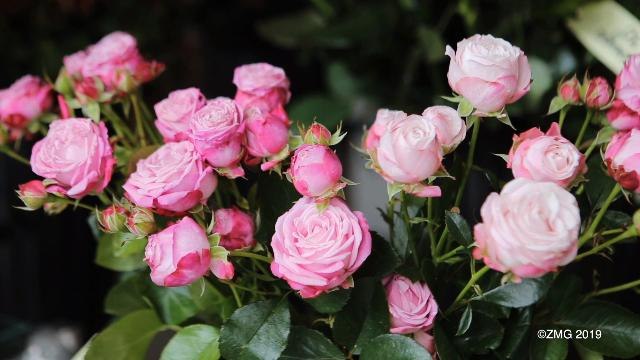 Gayle King Spills the Tea on Why Meghan Markle Didn't Open Gifts at her Baby Shower