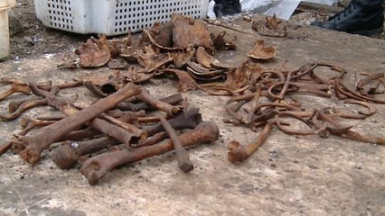 В Бресте найдены останки 600 человек