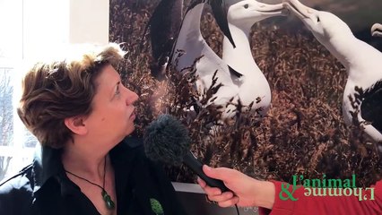 Interview de Sabine Bernert : L’albatros et le grand amour