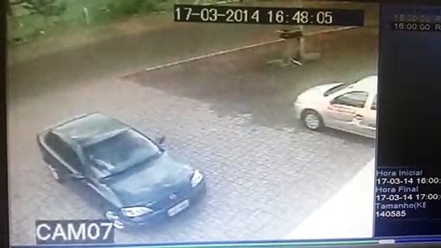 Un biker très chanceux... Bon karma