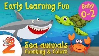 Early Learning Fun #5  Sea Animals 2 | Counting & Colors
