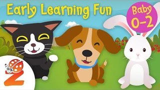 Early Learning Fun #6 | Pet Animals   Counting & Colors | Educational