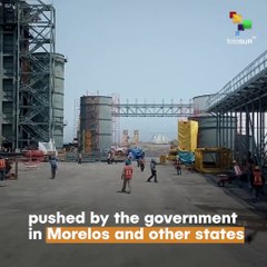 Indigenous Mexican Activist Was Murdered