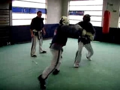 yoseikan-budo (lyon)