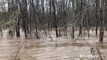 Reed Timmer reporting on flash flood threat from Big Black River