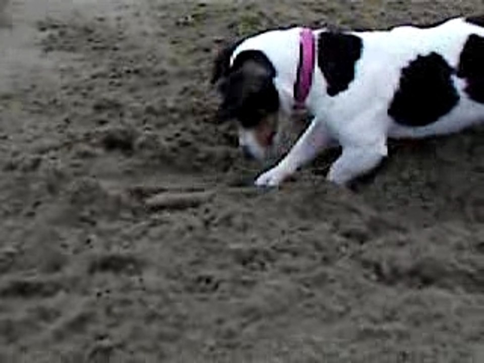 lola à la playa!!!!!