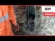 Six-year-old boy is pulled to safety 16 hours after he fell down 200ft construction hole | SWNS TV