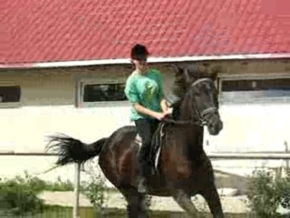 Obraz 078