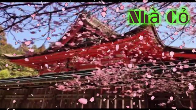 Audio đam mỹ: Nhiếp Chính Vương - Chương 74 - 77.